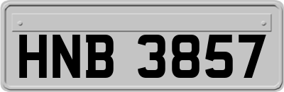 HNB3857