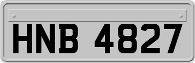HNB4827