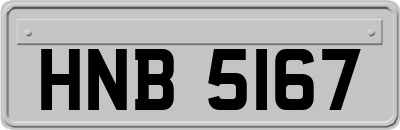 HNB5167