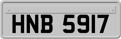 HNB5917