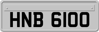 HNB6100