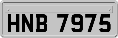 HNB7975