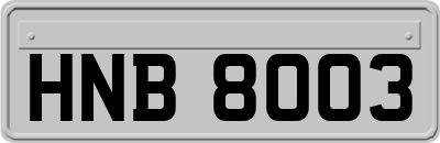 HNB8003