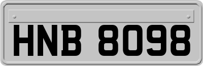 HNB8098