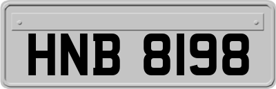HNB8198