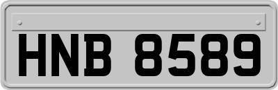HNB8589