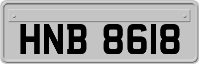 HNB8618