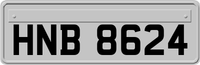 HNB8624