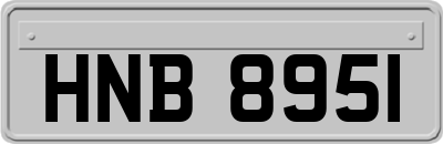 HNB8951