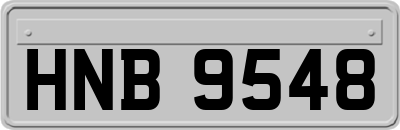 HNB9548