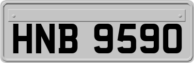 HNB9590