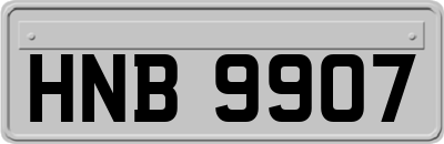HNB9907