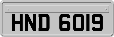 HND6019
