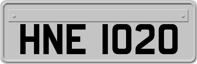 HNE1020