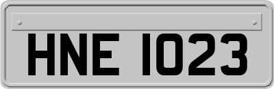 HNE1023