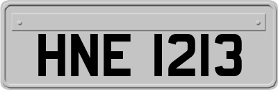 HNE1213