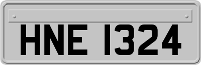 HNE1324