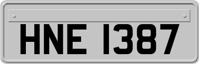 HNE1387