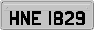 HNE1829