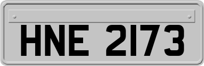 HNE2173