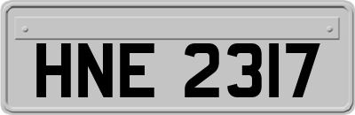 HNE2317
