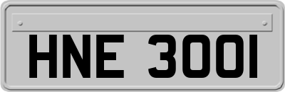 HNE3001