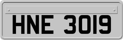 HNE3019
