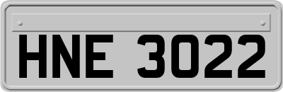 HNE3022