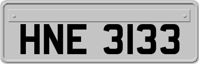 HNE3133