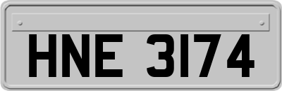 HNE3174