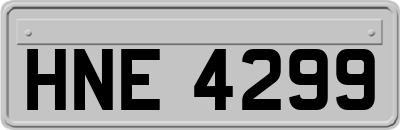 HNE4299