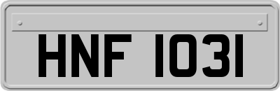 HNF1031