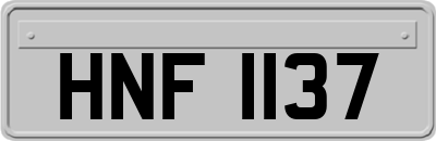 HNF1137