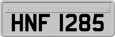 HNF1285