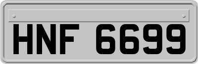 HNF6699