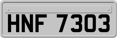 HNF7303