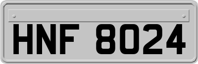 HNF8024