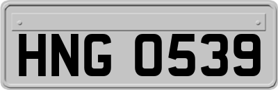 HNG0539