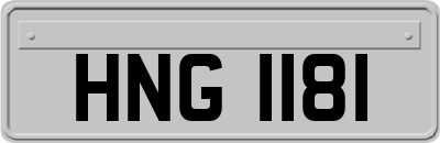 HNG1181