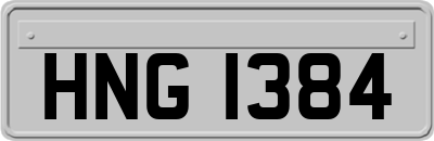 HNG1384