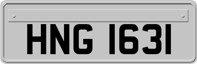 HNG1631