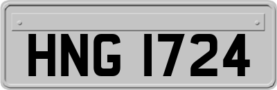 HNG1724