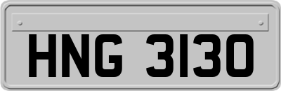 HNG3130