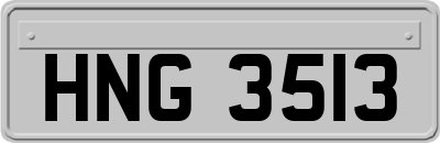 HNG3513