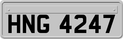 HNG4247