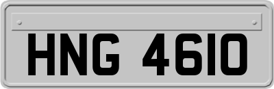 HNG4610