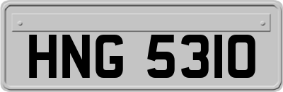 HNG5310
