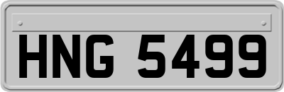 HNG5499