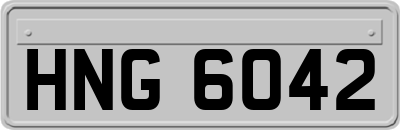 HNG6042
