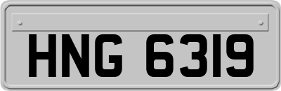 HNG6319